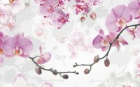 Новинка - шпалери для стін Komar Flower & Textures